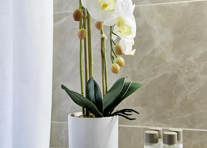 ゲストハウス Sarpi &